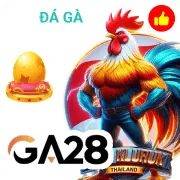win33 Game 07